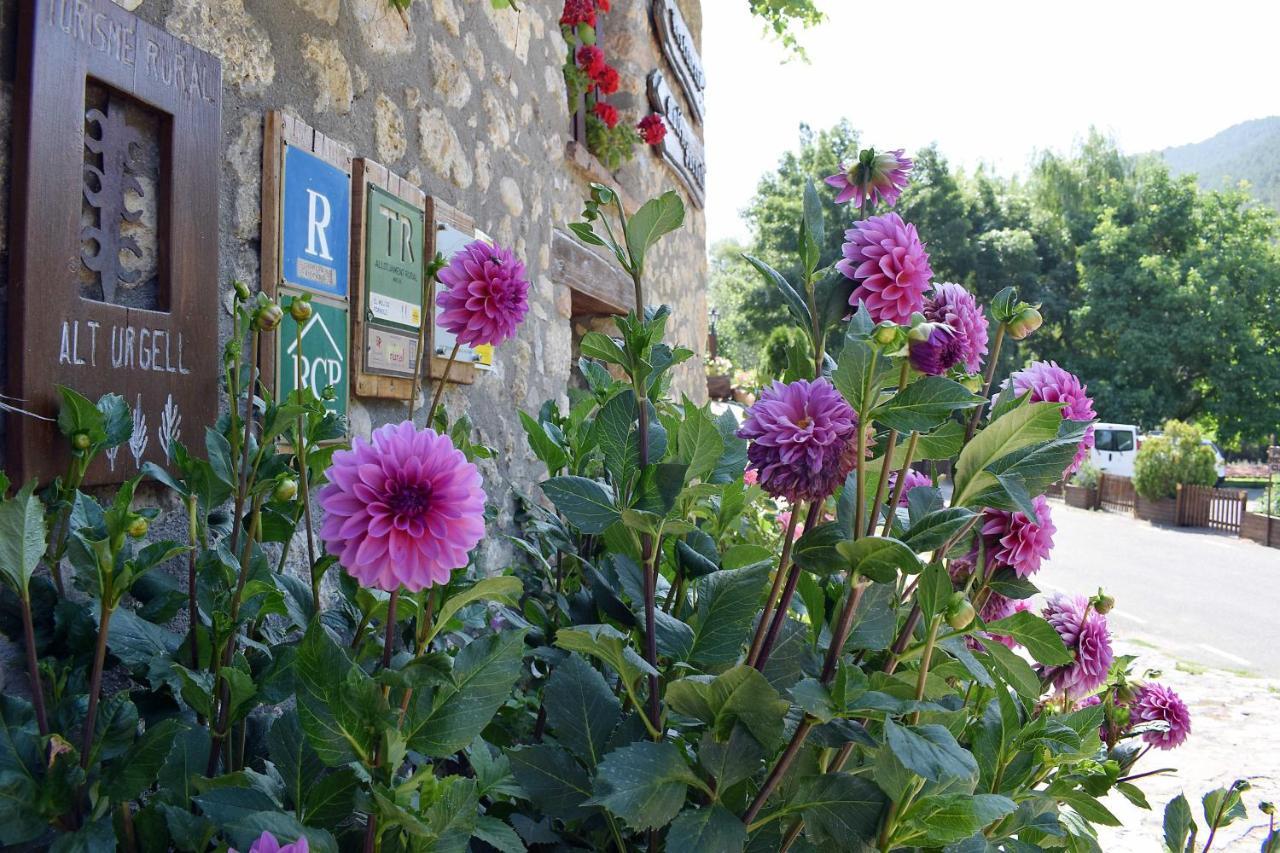 Hotel Casa Rural Moli De Fornols Exterior foto